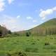 Meadow and Hills at Sinnemahoning State Park, Pennsylvania