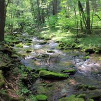 Sinnemahoning State Park  Photos