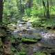 Rushing Stream at Sinnemahoning State Park, Pennsylvania