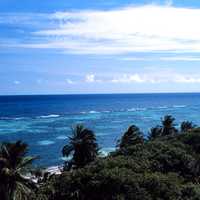 Patch reefs at Mona Island, Puerto Rico