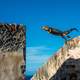 Iguana leaping from building to building in San Juan, Puerto Rico