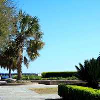 Seaside park in Charleston, South Carolina