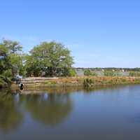 Hilton Head Island landscape