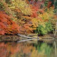 Lake Wylie in autumn with colored leaves in South Carolina