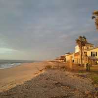 Shoreline Landscape of Estido Island in South Carolina