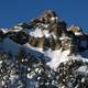 Snow-capped Mountain Peaks with Trees