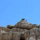 People on the peak at Badlands National Park, South Dakota