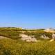 Prairie and a few bumps at Badlands National Park, South Dakota