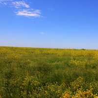 The open prairie at Badlands National Park, South Dakota