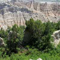 Trees in the ravine at Badlands National Park, South Dakota