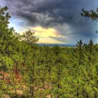 Sunset over the forest in the Black Hills, South Dakota