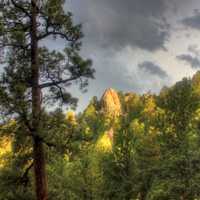 Black Hills under cloudy skies in the Black Hills, South Dakota