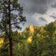 Black Hills under cloudy skies in the Black Hills, South Dakota