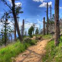 Great Hiking Path in Custer State Park, South Dakota