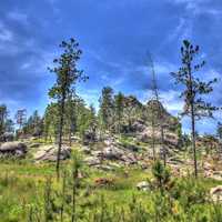 Landscape on the mountain in Custer State Park, South Dakota