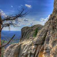 Looking at the mountainside in Custer State Park, South Dakota