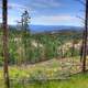 Mountain Landscape in Custer State Park, South Dakota