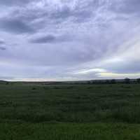 Grasslands in Wasta, South Dakota
