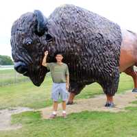 Me taming the Alpha Bison in the Black Hills, South Dakota