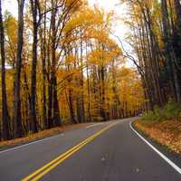 Autumn roadway between the trees in Great Smoky Mountains National Park, Tennessee