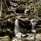 Closeup Waterfalls Cascades scenery in Great Smoky Mountains National Park, Tennessee