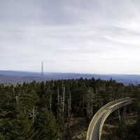 Landscape with a bit of the tower path above the forest at Clingman's Dome, Tennessee