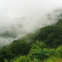 Low Clouds over the Hill at Great Smoky Mountains National Park, Tennessee