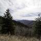 Mountain Landscape at the Newfound Gap in Great Smokey Mountains National Park, Tennessee