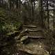 Steps on the Appalachian Trail leading to Clingman's Dome in Great Smoky Mountains National Park, Tennessee