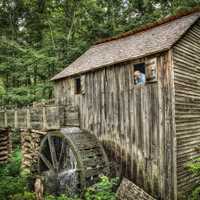 Great Smoky Mountains National Park  Photos