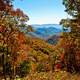 Trees and landscape in Autumn in Great Smoky Mountains National Park, Tennessee