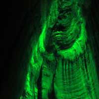 Green Caverns at Lookout Mountain, Tennessee
