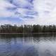 Island with trees at Pickwick Lake