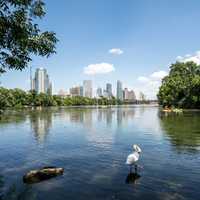 Lake and landscape and Austin Skyline, Texas