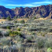 Grassy basin at Big Bend National Park, Texas