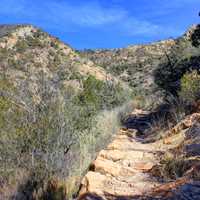 Trail Gets Harder at Big Bend National Park, Texas