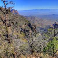 Chisos Mountains in the distance at Big Bend National Park, Texas