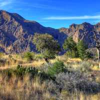 Closer look at the Basin at Big Bend National Park, Texas