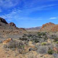 Desert and Hills at Big Bend National Park, Texas