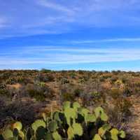 Desert Horizon at Big Bend National Park, Texas