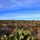 Desert Horizon at Big Bend National Park, Texas