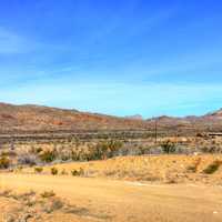 Desert Landscape at Big Bend National Park, Texas