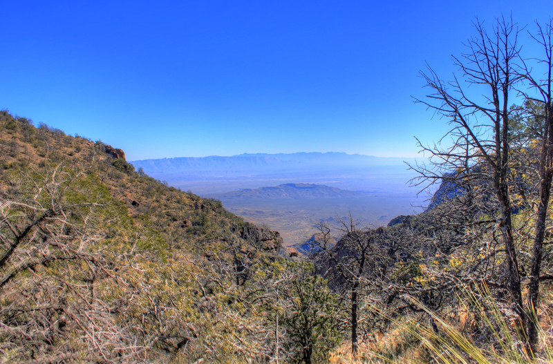 Double Mountains at Big Bend National Park, Texas image - Free stock ...