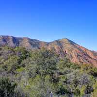 Forest and Mountain at Big Bend National Park, Texas