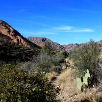 Landscape on the mountain path at Big Bend National Park, Texas