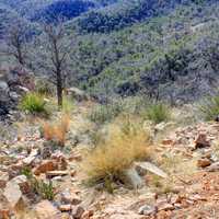 Looking down the slope at Big Bend National Park, Texas