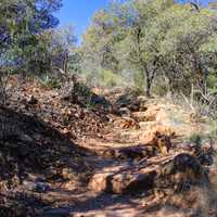 More Trail Steps at Big Bend National Park, Texas