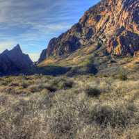 Mountains from the Basin at Big Bend National Park, Texas
