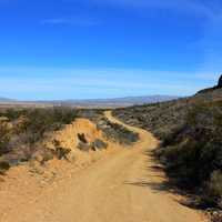 Path through the sands at Big Bend National Park, Texas