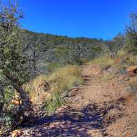 Path up the mountain side at Big Bend National Park, Texas